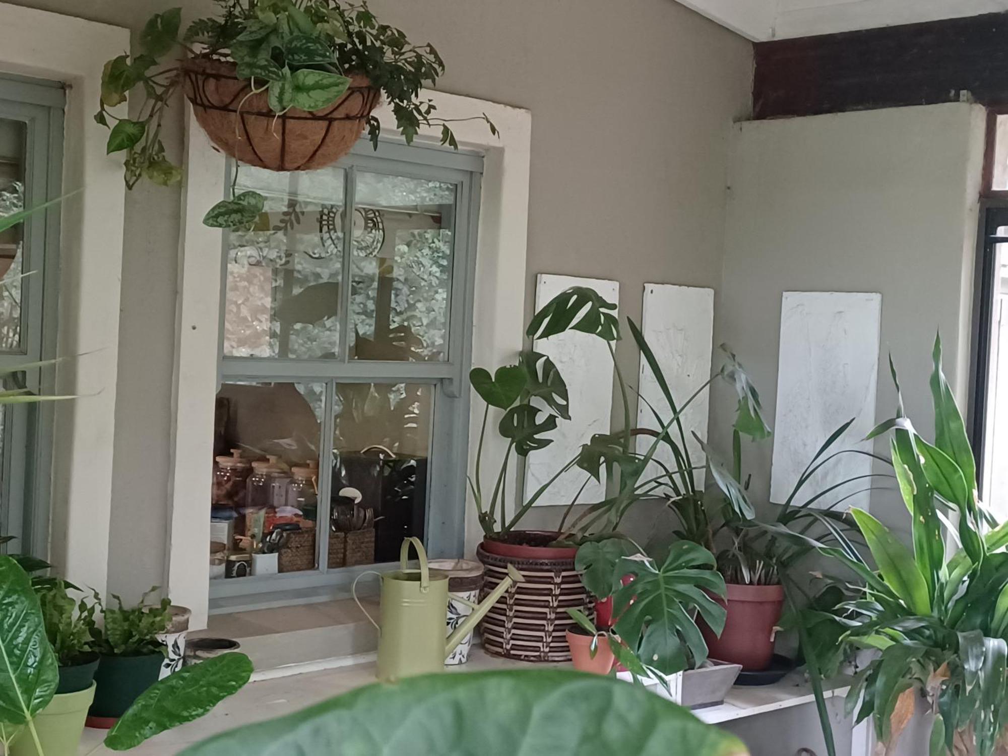 Little Fields Country House And Cottages โฮวิค ภายนอก รูปภาพ