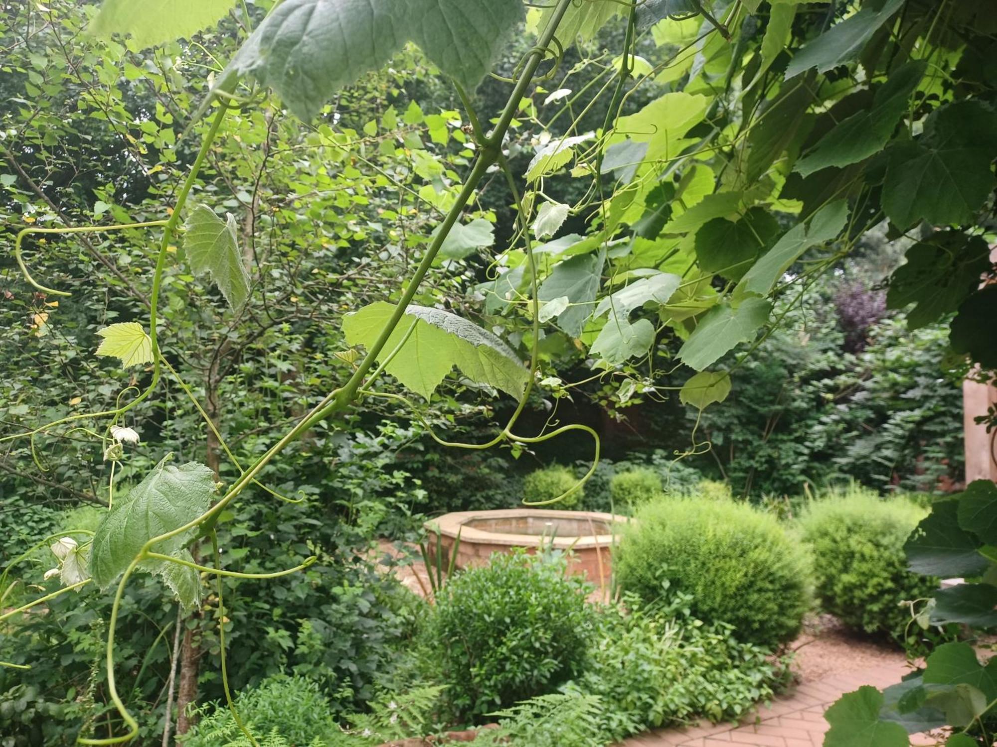 Little Fields Country House And Cottages โฮวิค ภายนอก รูปภาพ